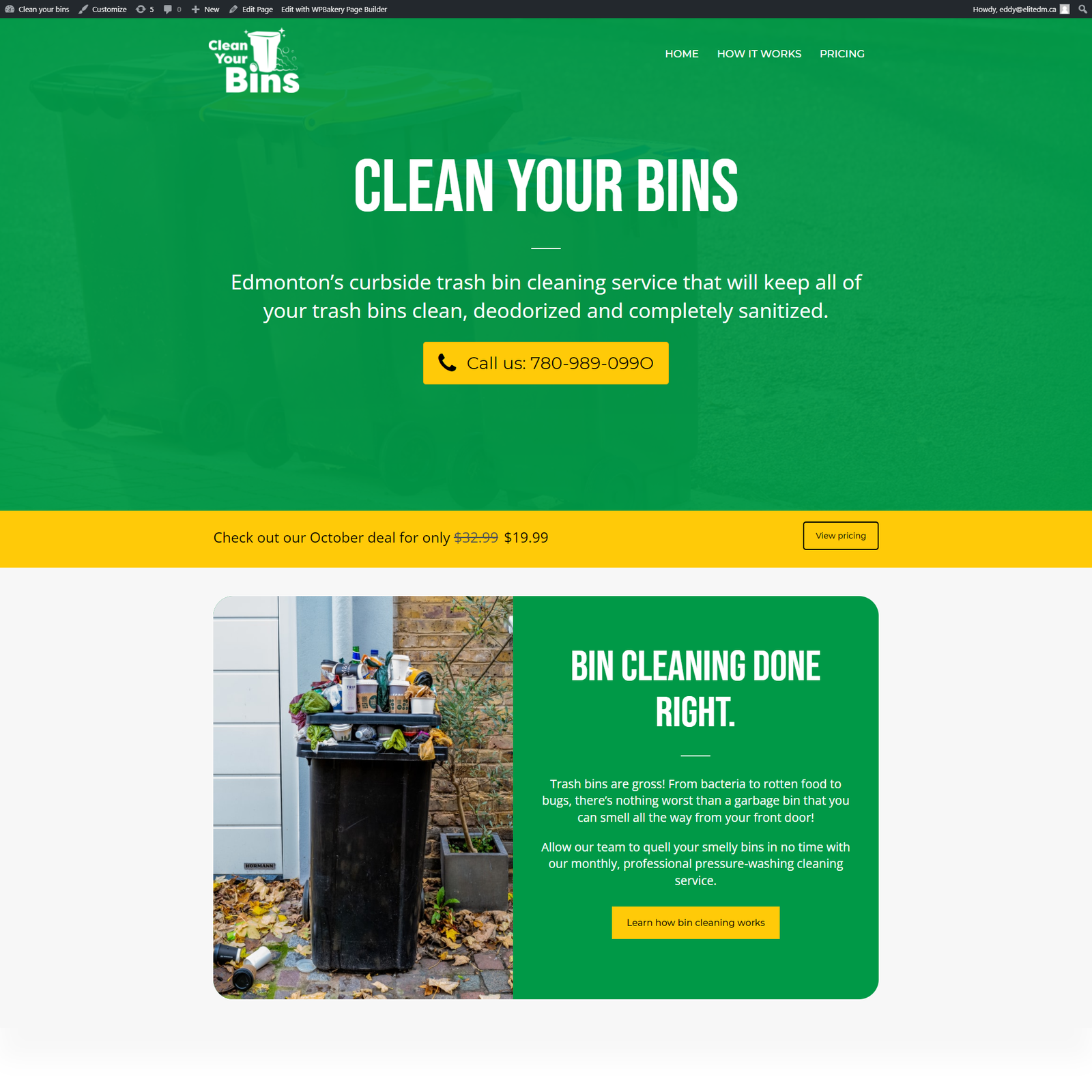 clean your bins website