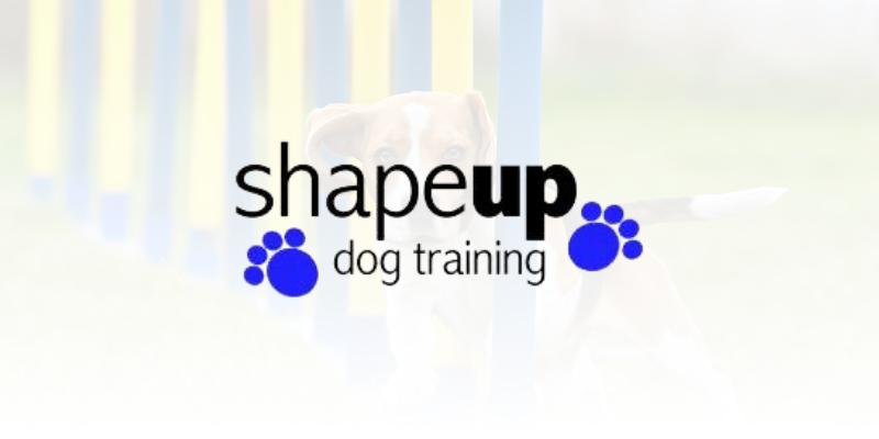 shapeup dog training