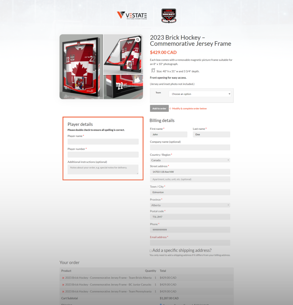 vestate brick hockey website design